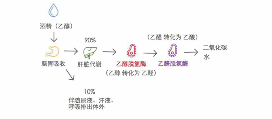 2873d7e9ee324396e7354067eb4f837f.png